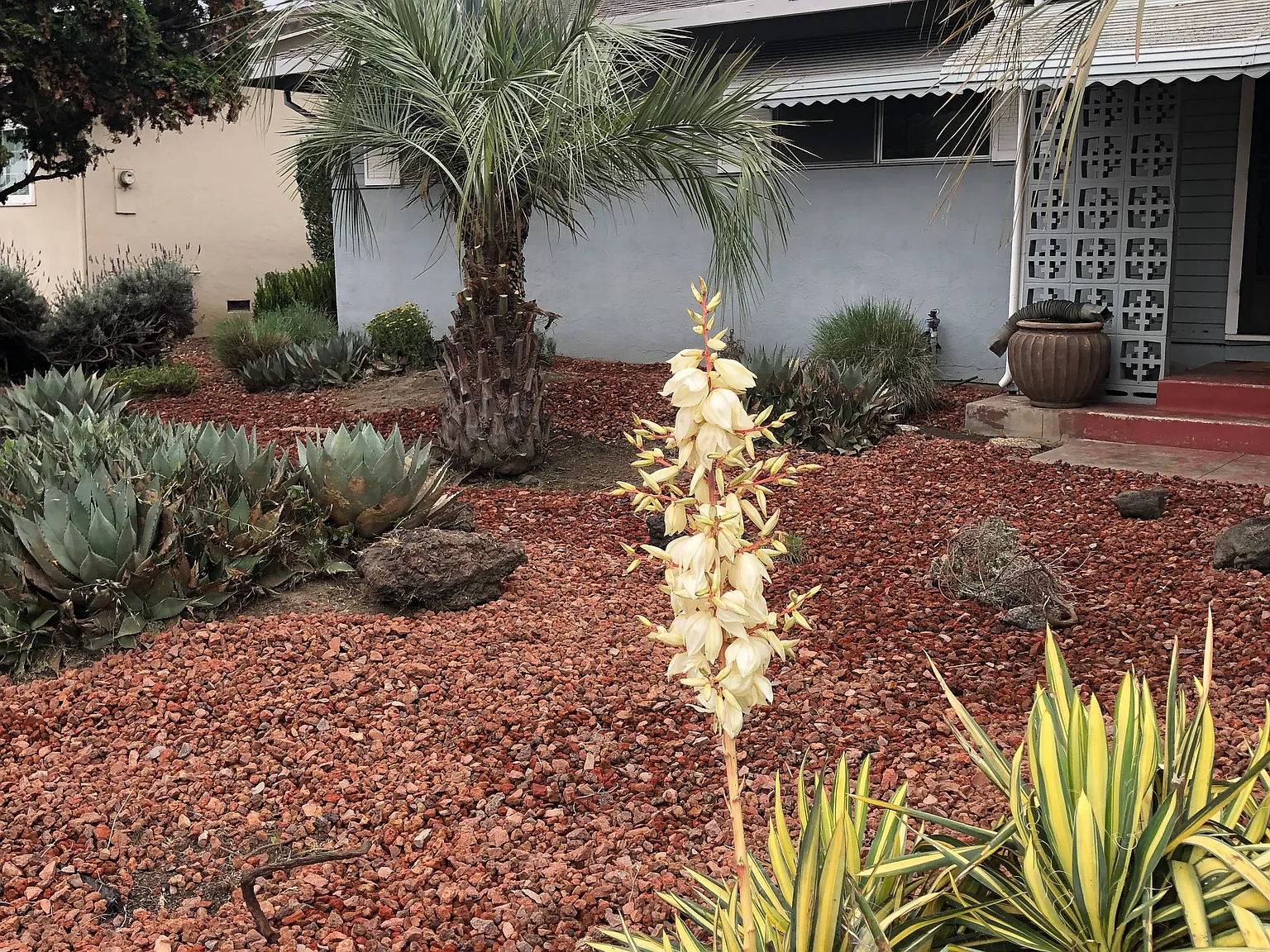 4 bed, 2.5 bath, 1400 sqft, $3,927 — Photo 1