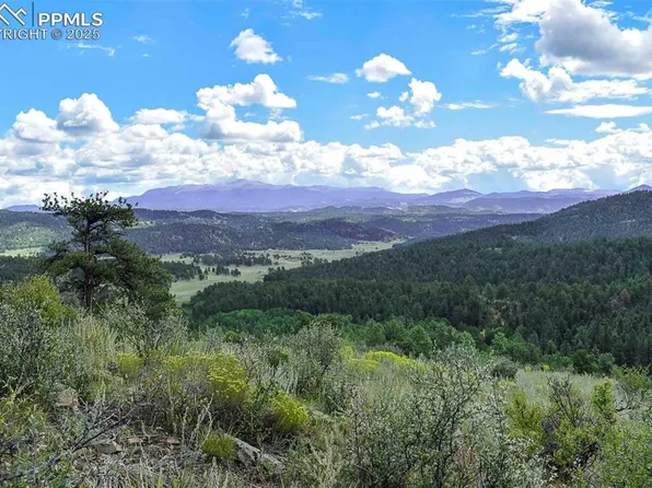 231 Deer Ln, Guffey, CO 80820