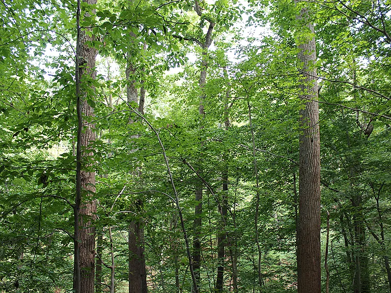 2301 Hickory Rd #1 — Photo 9