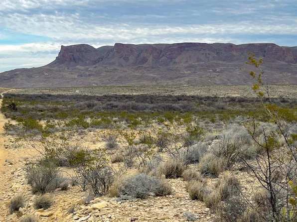 4500 Youre Lost Rd, Terlingua, TX 79852