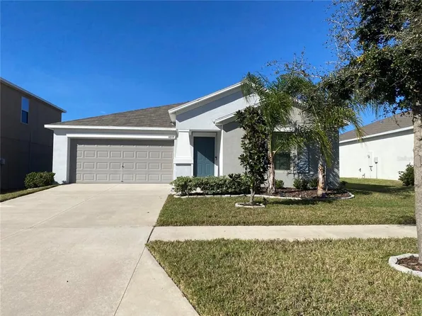 10519 STRAWBERRY TETRA DRIVE, RIVERVIEW, FL 33578