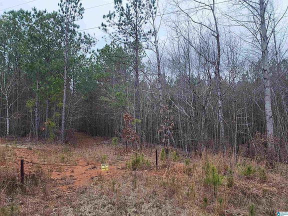 4th image of 1102 County Road 59 #58.60