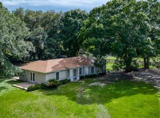 11439 Holstein Rd, Lithia, FL 33547