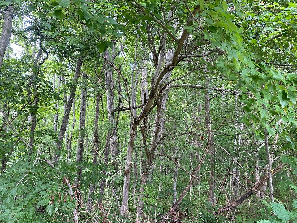 2nd image of Coal Bank Rd