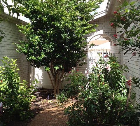 Walkway from gate to door