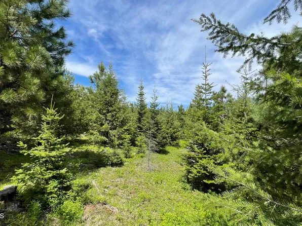 Nka Elderberry Ln, Orofino, ID 83544