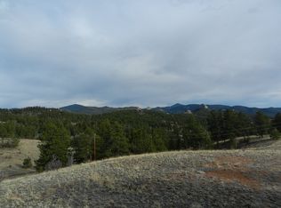 918 Old Ranch Rd, Woodland Park, CO 80863