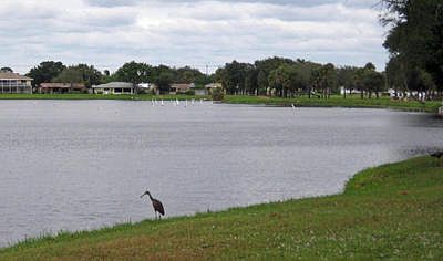 A Beautiful Natural Lake