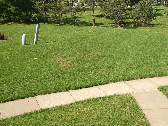 View from Front Deck