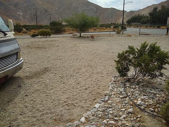 4th image of 59871 Palm Oasis Ave