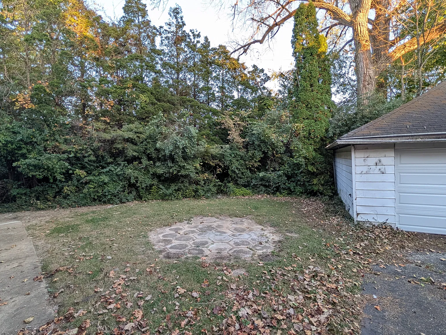 3 bed, 1200 sqft, $1,150 — Photo 3
