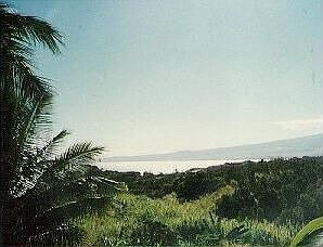 View from lanai