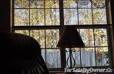 Beautiful Trees Surround : Best seat in the house.