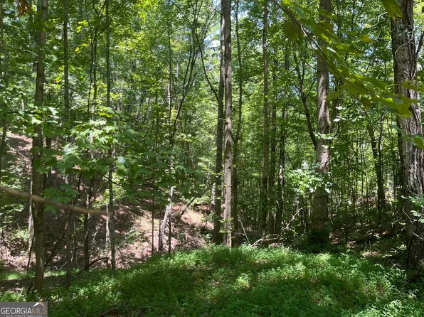 N/a S Twin Oaks Dr, Ellijay, GA 30540