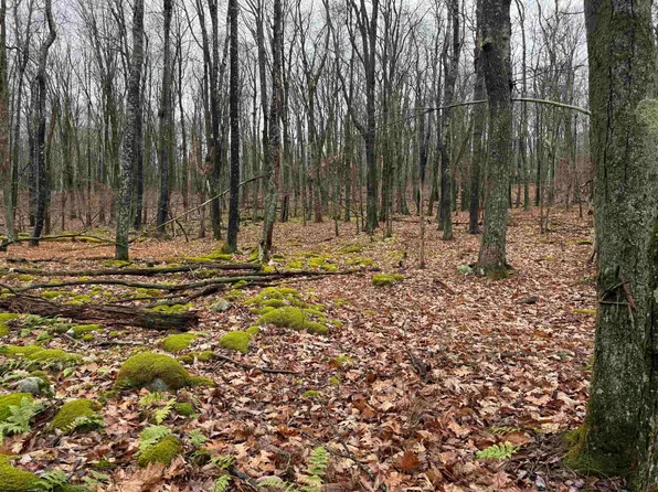 Lots 81 & 82 Aster Dr, Terra Alta, WV 26764