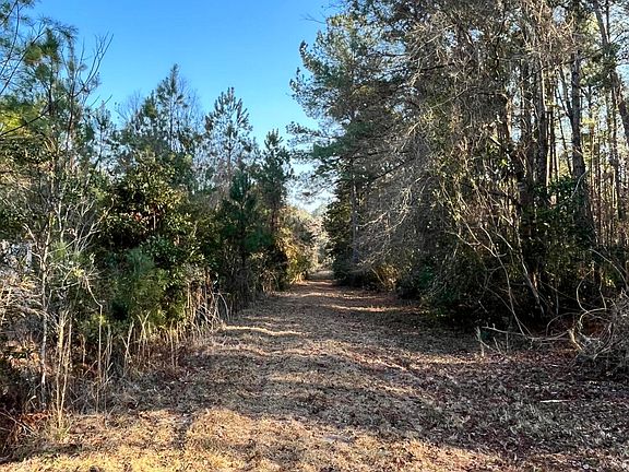 3rd image of 1664 Cottageville Hwy