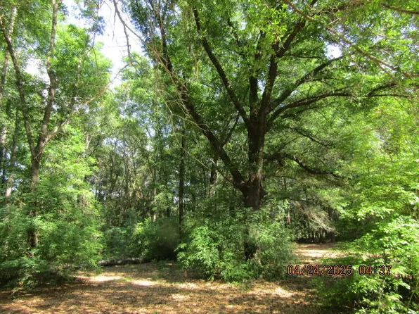 12495 Highway 90, Holt, FL 32564