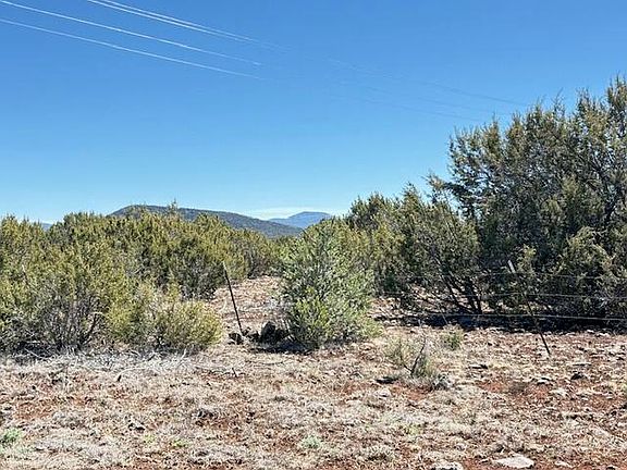 3rd image of N 3239th