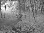 4th image of 23139 Nuthatch Ave