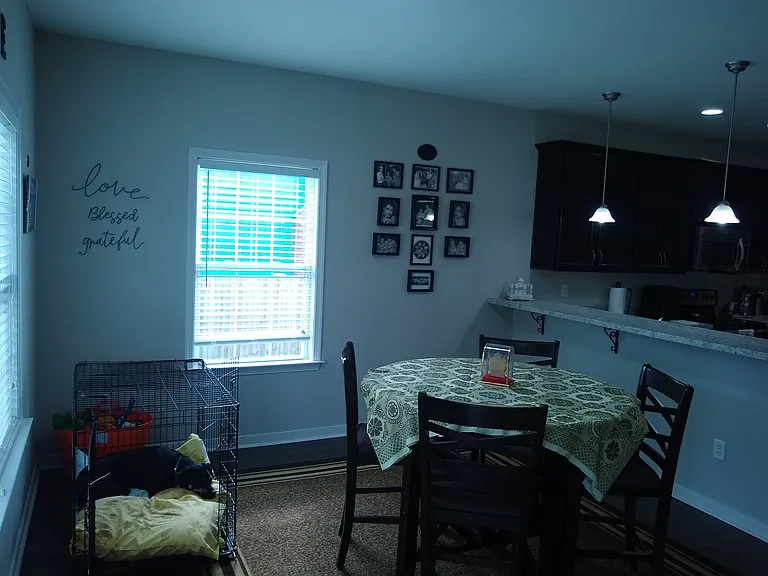 Shared Dining and Kitchen Area