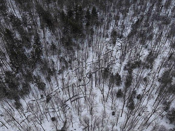 3rd image of 43+/- AC County Rd FF Acres