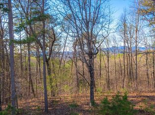 175 Doll Mountain Rd, Ellijay, GA 30540