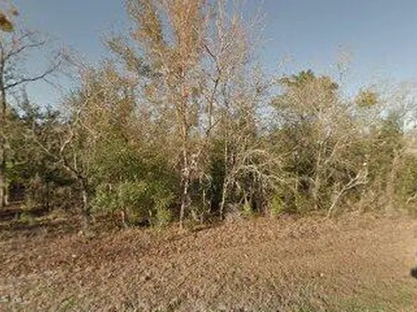 328 3RD Way, Interlachen, FL 32148