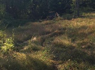 Realtree Rd, Valley grove, WV 26060