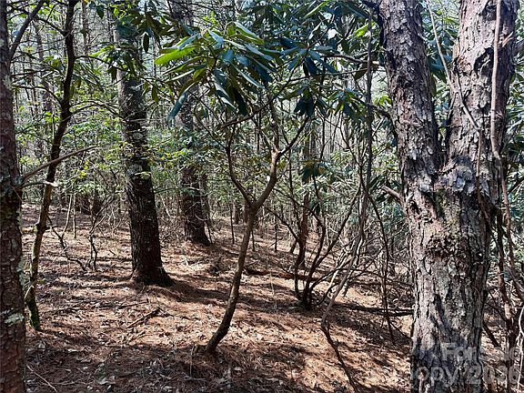 3rd image of 2494 Ivy Rays Way #41