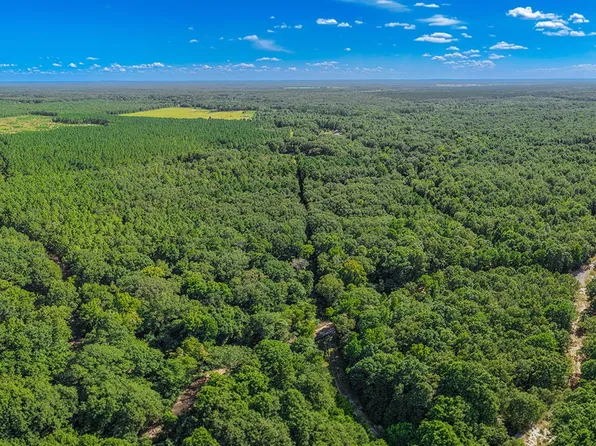 2346 County Road 4284, Simms, TX 75574