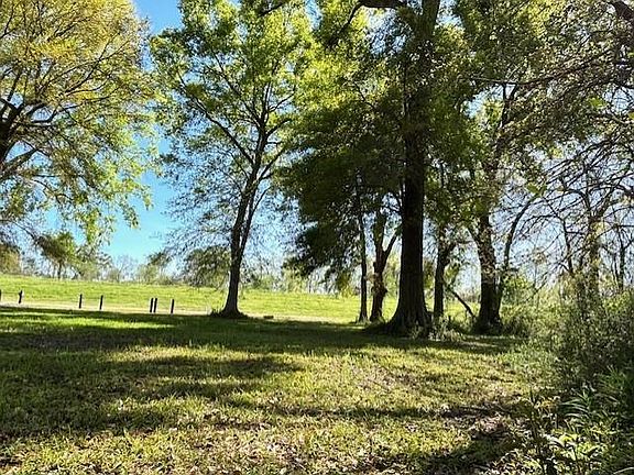 5th image of 35158 Rena Melancon Rd