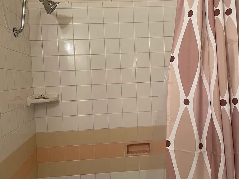 Master bathroom shower
