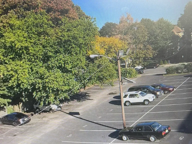 203 Cleveland St #C3 — Photo 9