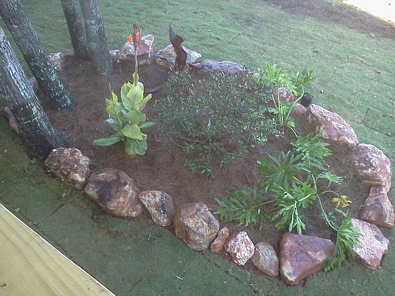 Rock Garden in Rear w/ Pineapple Guava
						:
						Other fruiting items: 15 blueberries, 2 Jap. persimmons, 1 fig, 1 dwarf peach.