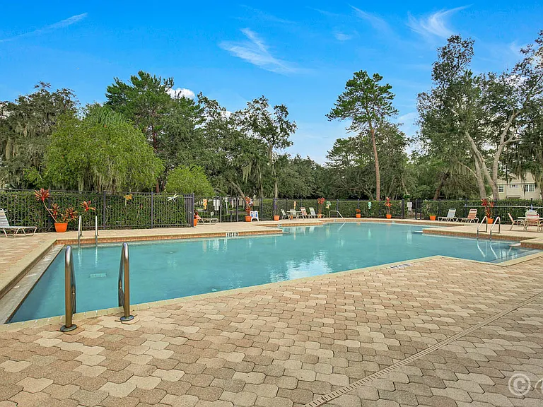 15807 Fishhawk Falls Dr — Photo 22