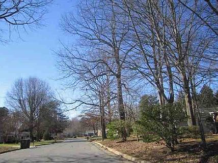 2nd image of 3319 Ryderwood Dr