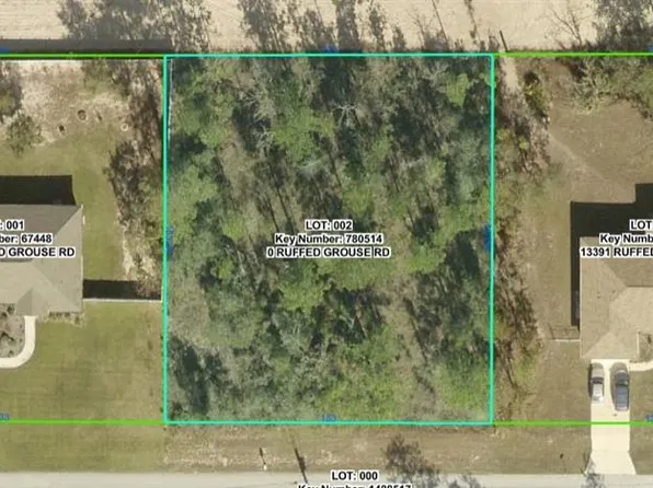 0 Ruffed Grouse Rd Lot 2, Brooksville, FL 34614