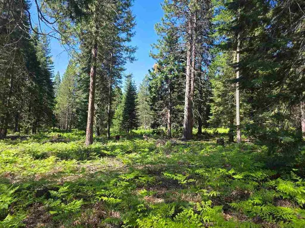 LOT 87 Panther Meadow Dr, McCloud, CA 96057