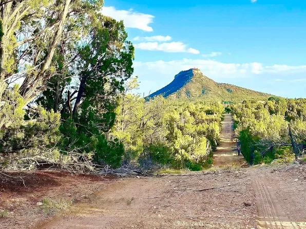 Sena Ranch Rd, Serafina, NM 87569