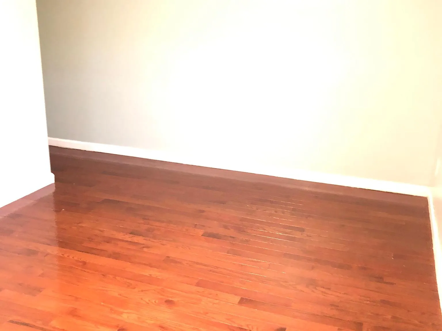 2 bed, 800 sqft, $1,300 — Photo 4
