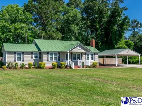 2513 Olanta Hwy, Effingham, SC 29541