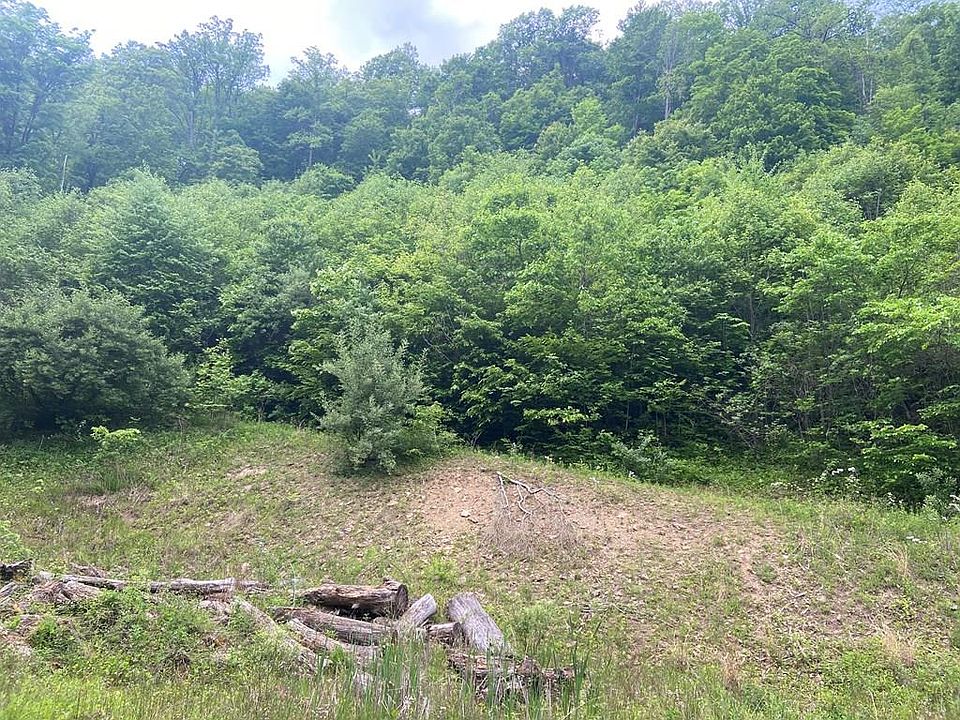 Arwood Hollow Rd, Rowe, VA 24646 MLS 92517 Zillow