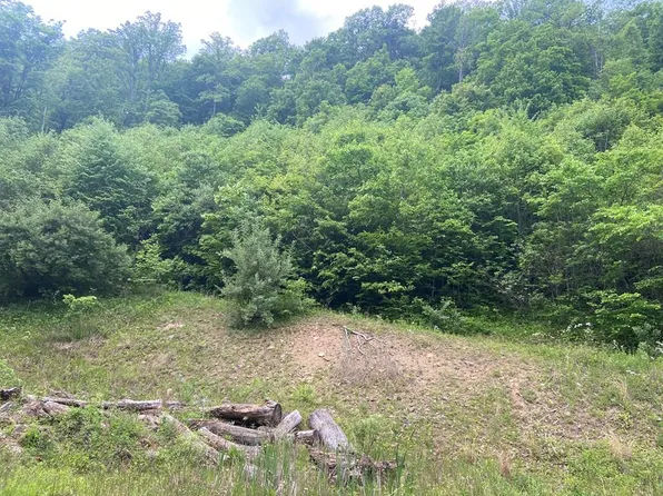 Arwood Hollow Rd, Rowe, VA 24646