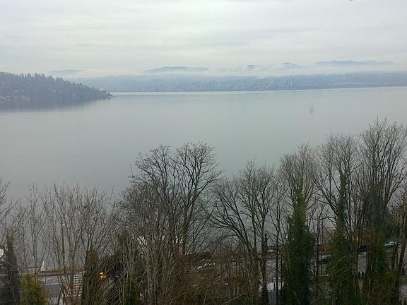 view of Lake Washington