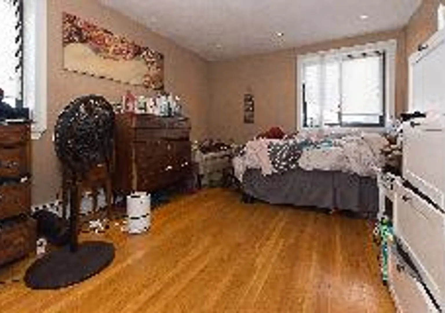 Pet Friendly 1 Bed In Packard's Corner! Heat/Hot Water Included — Photo 3