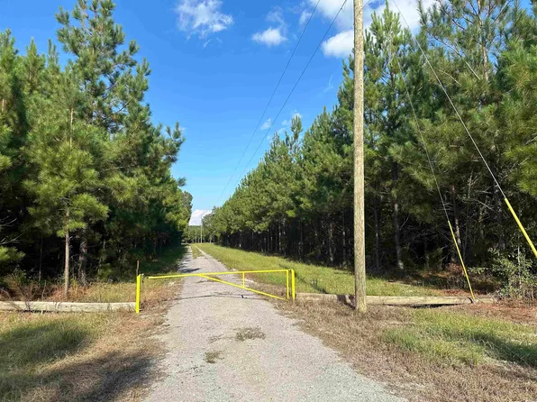 TBD Coleman Rd., Greeleyville, SC 29056