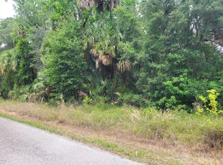 1 Shell Harbor Rd, Pierson, FL 32180