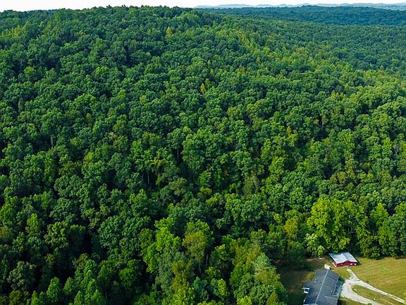 4th image of 6581 Big Spruce Little Bear Rd