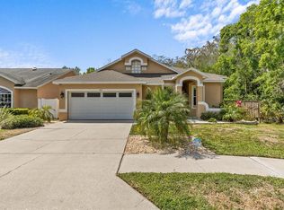 1889 Wood Owl St, Tarpon Springs, FL 34689