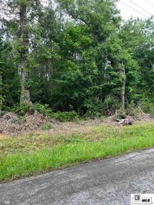 LOT 1 Berry Rd, Grayson, LA, 71435